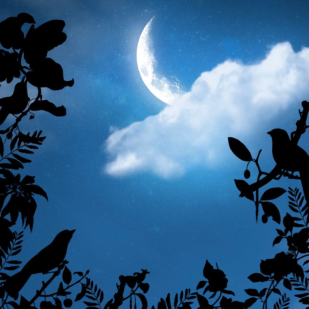 Crescent moon sky background, bird silhouette editable design