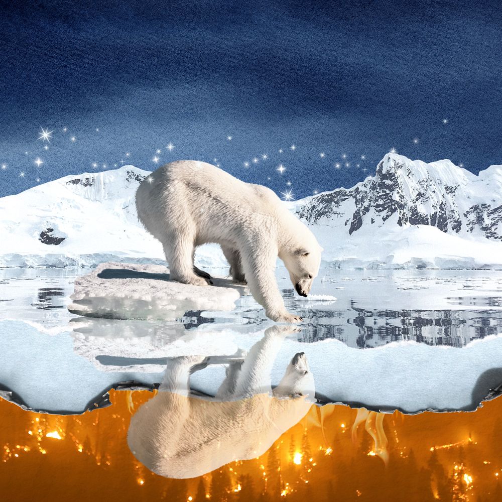 Polar bear environment background, north pole aesthetic, editable design