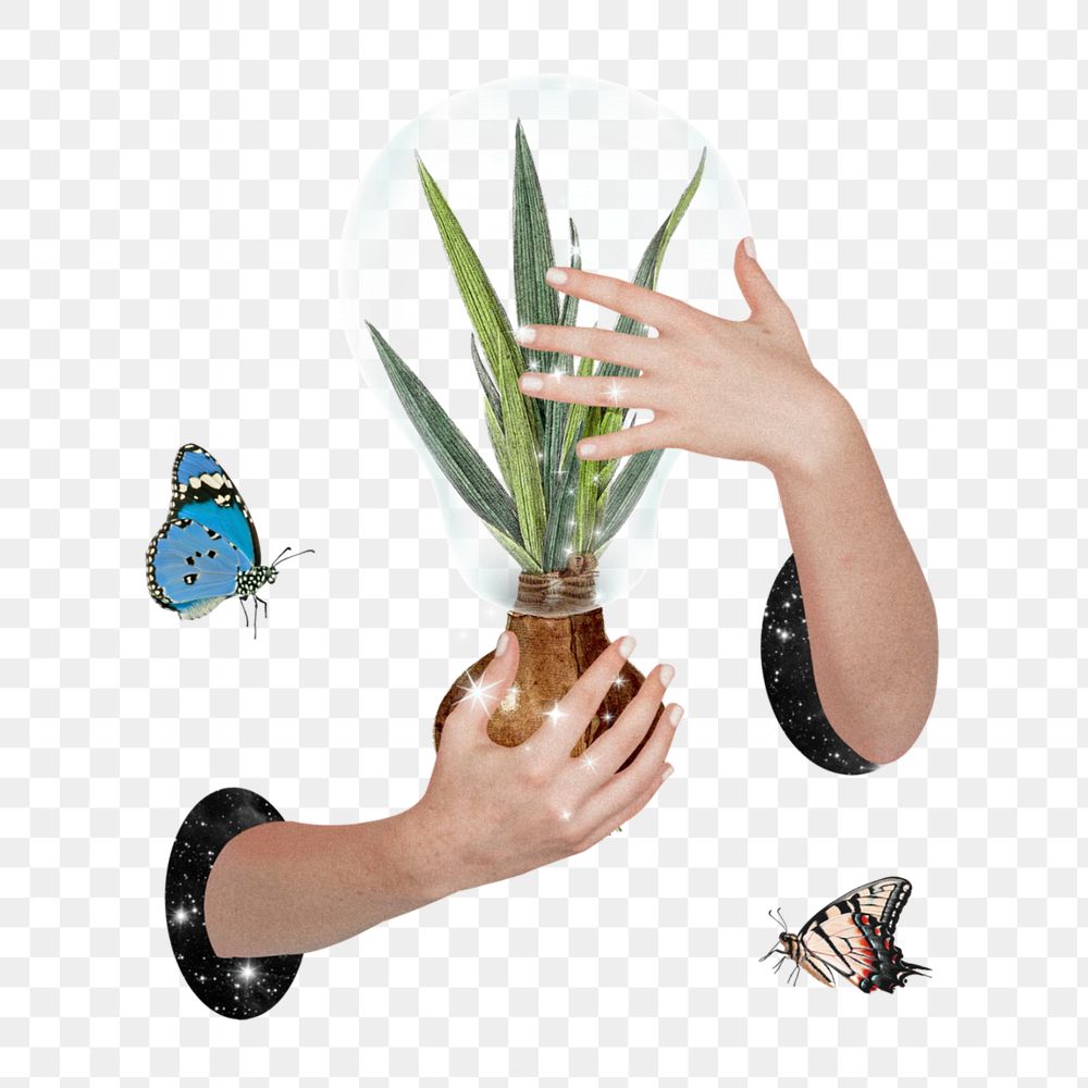 Nature conservation aesthetic png sticker, hands covering plant, editable design