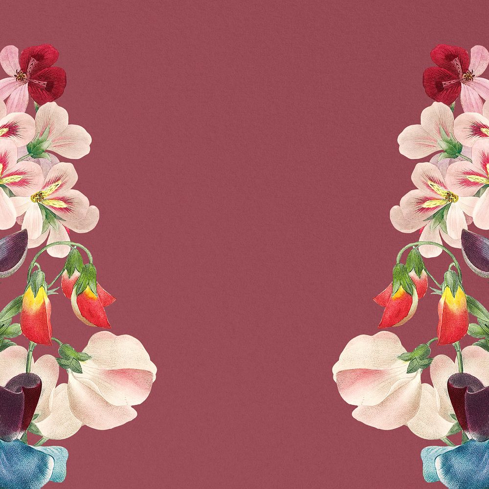 Vintage sweet pea border, editable aesthetic flower illustration by Pierre Joseph Redouté. Remixed by rawpixel.