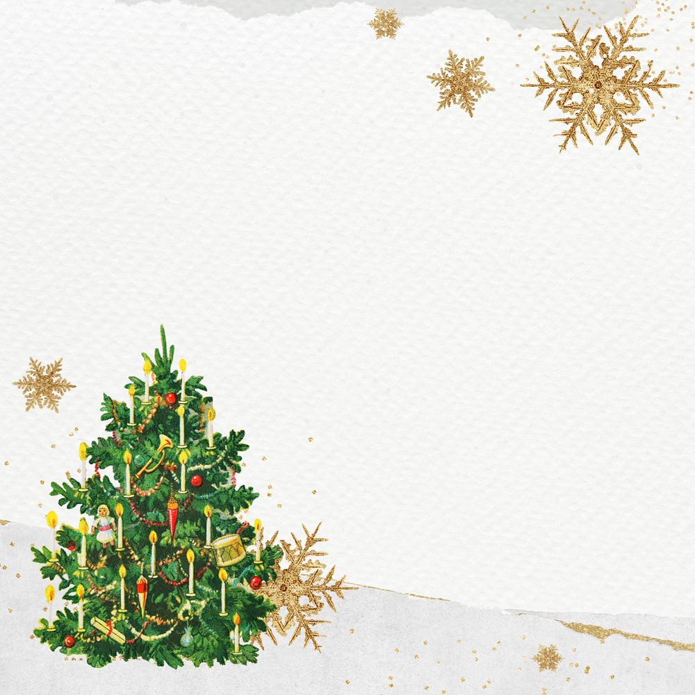 Winter Christmas tree background, editable paper textured border