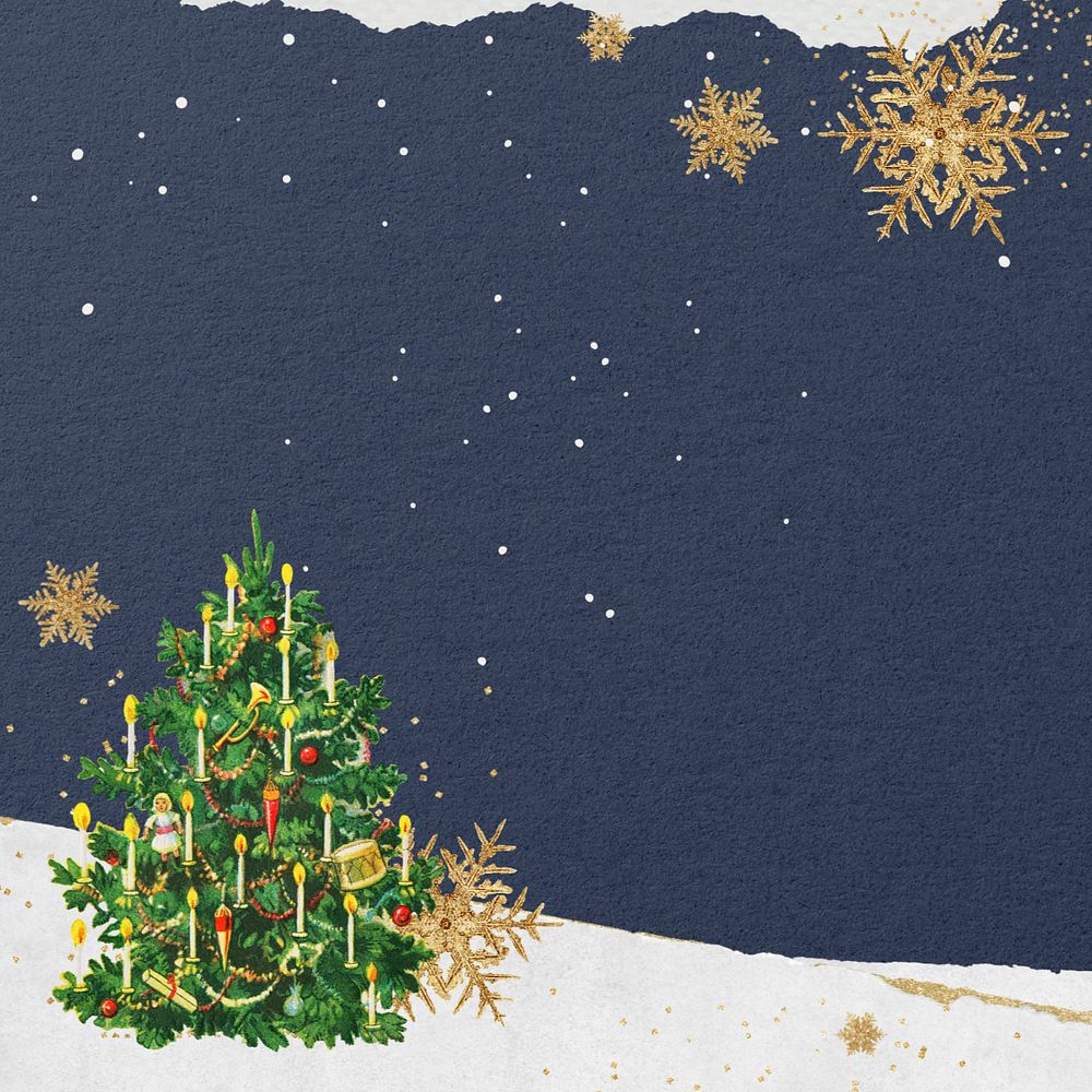 Winter Christmas tree background, editable paper textured border