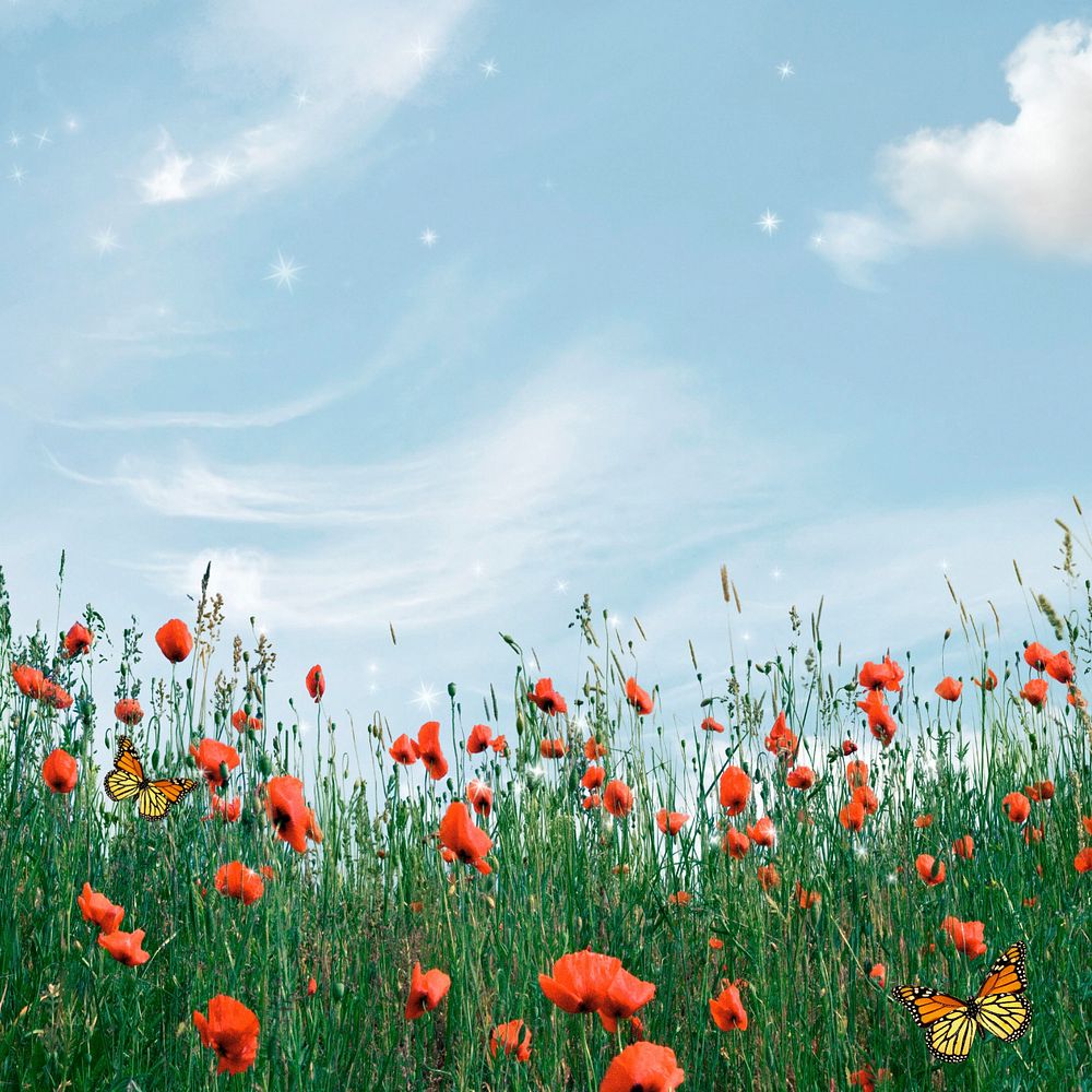 Aesthetic sky background, wildflower border remix, editable design