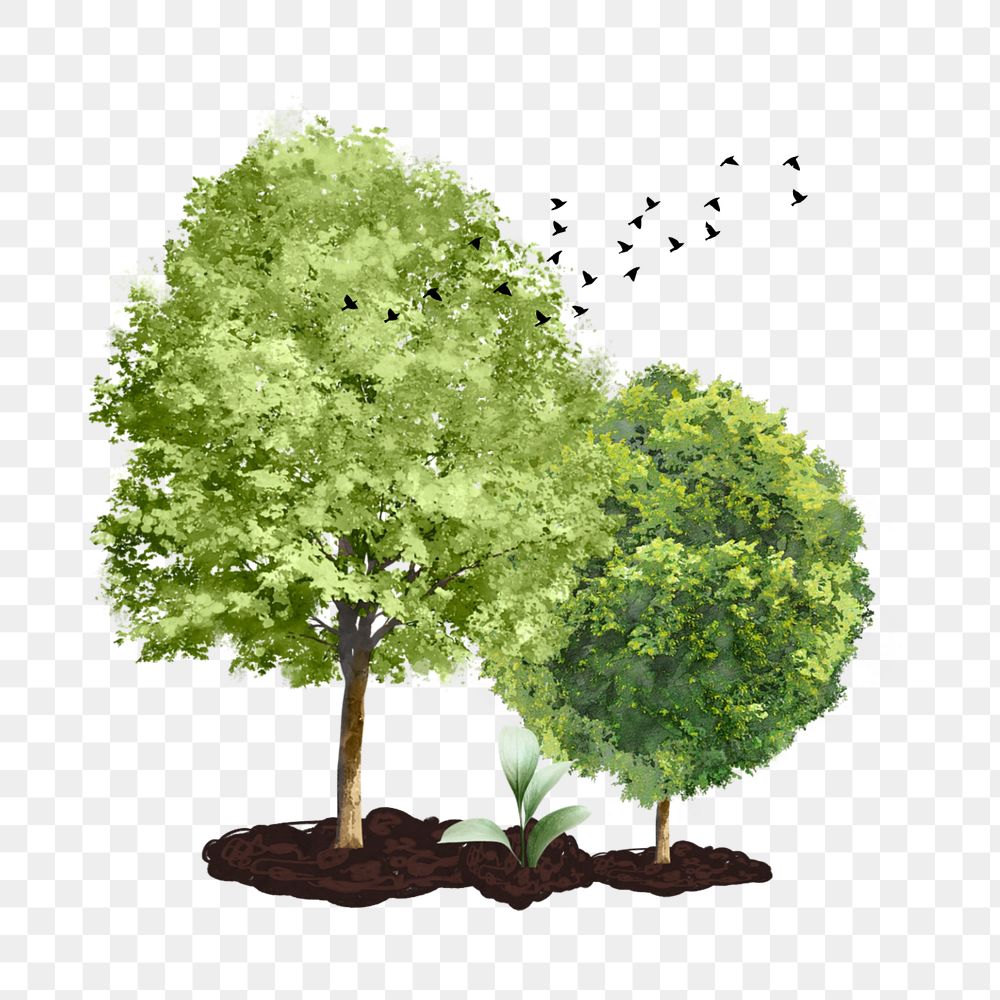 Trees environment aesthetic png, creative remix, editable design