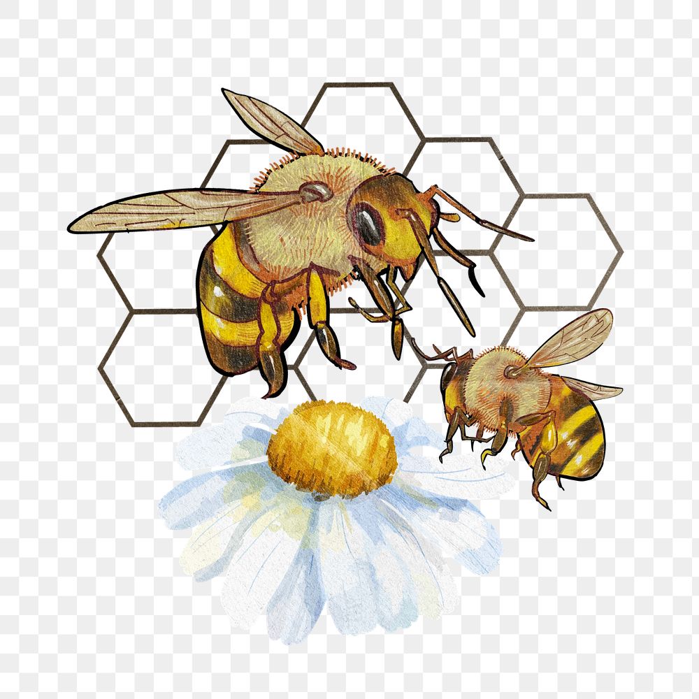 Bees and flower png, creative remix, editable design