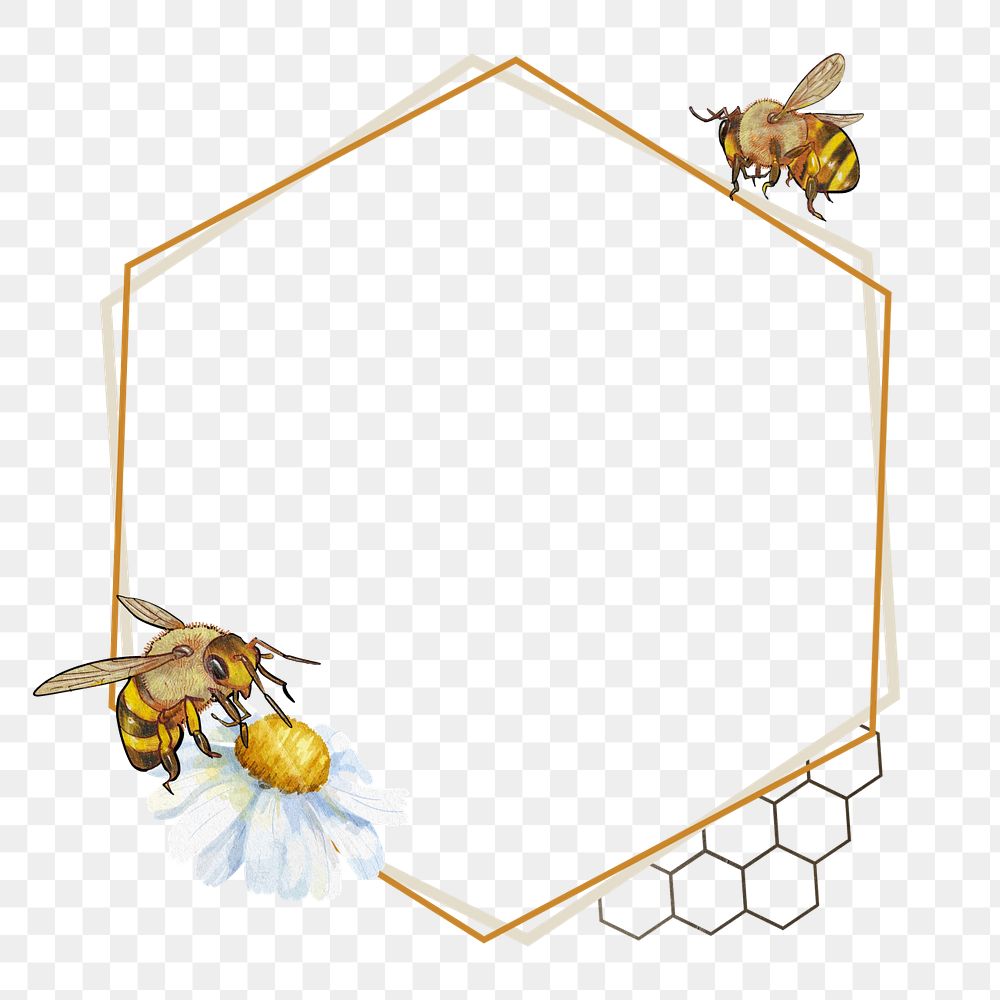 Bees hexagon frame png, creative remix, editable design