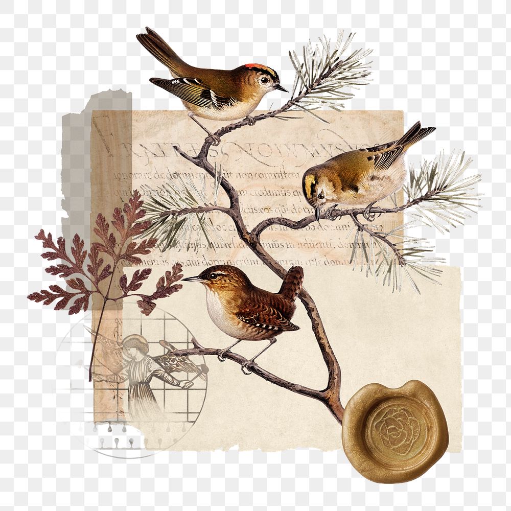 Autumn bird collage png sticker, nature aesthetic, editable design