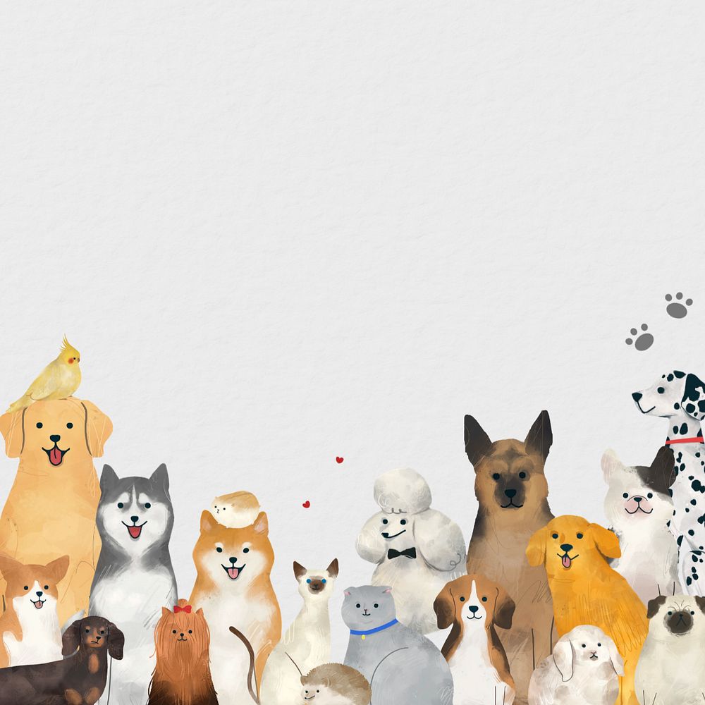 Customizable pet border, gray background design