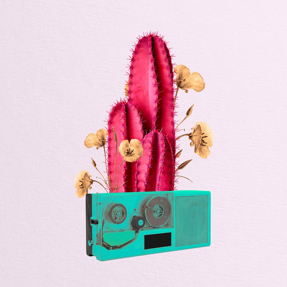 Editable retro cactus and VHS collage