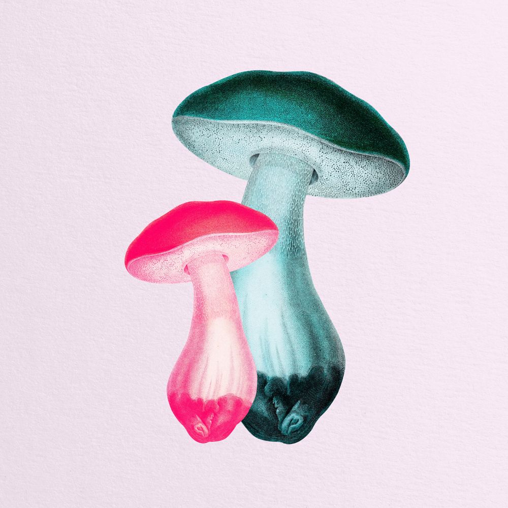 Editable neon mushrooms