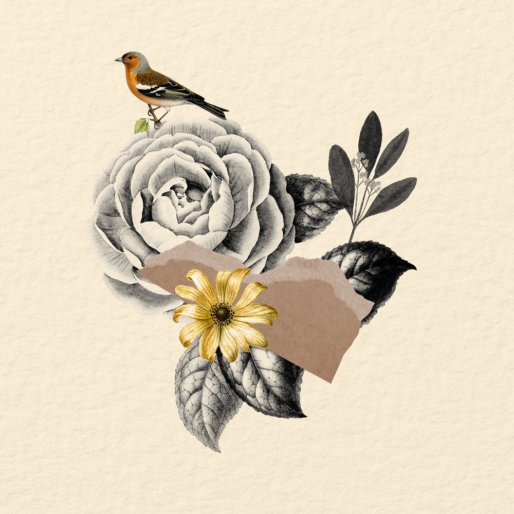 Editable bird and flower Ephemera collage element 