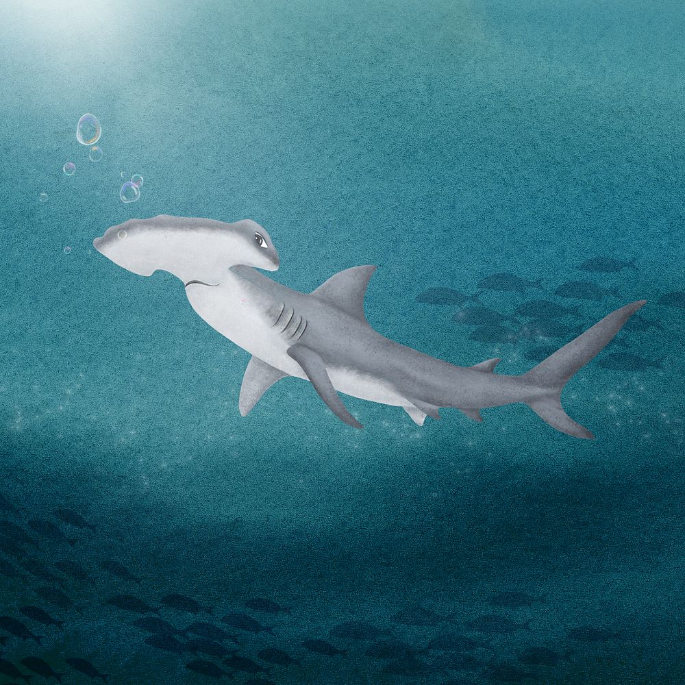 Hammerhead shark background, customizable aesthetic illustration remix