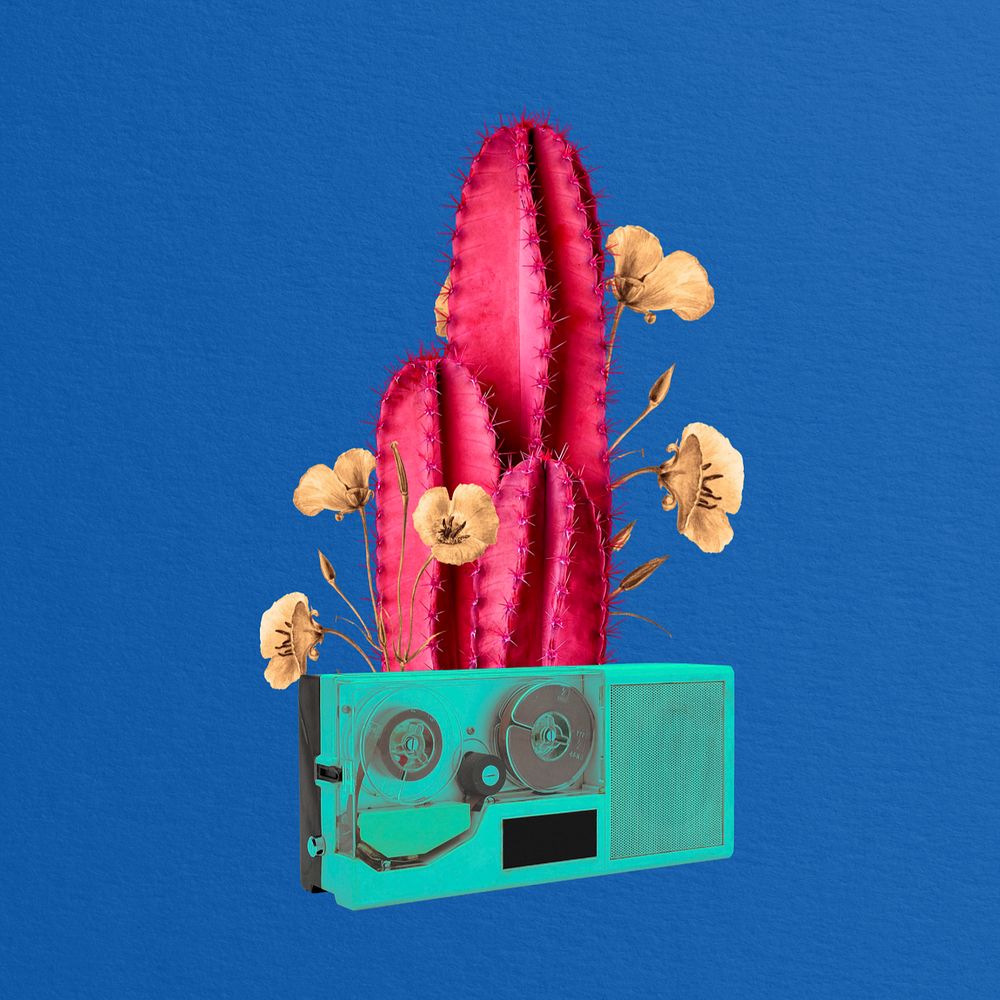 Editable retro cactus and VHS collage