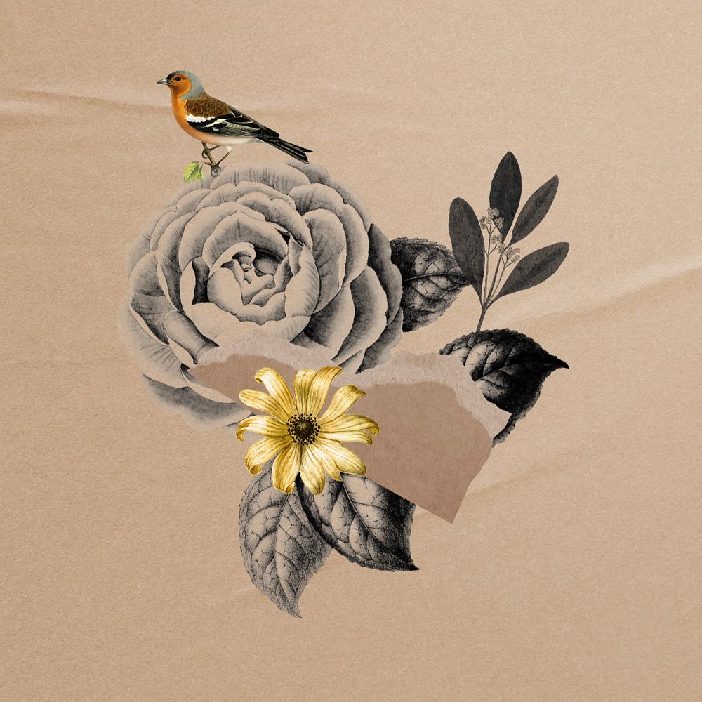 Editable bird and flower Ephemera collage element 