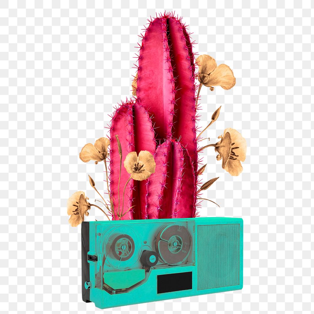 Png editable retro cactus and VHS on transparent background