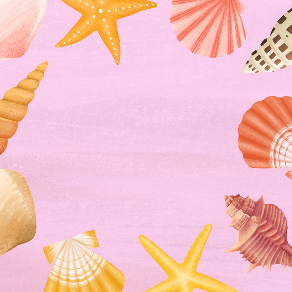 Seashell frame, pink background, editable illustration border