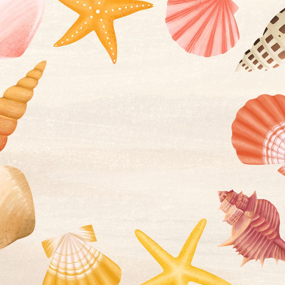 Seashell frame, sand background, editable illustration border