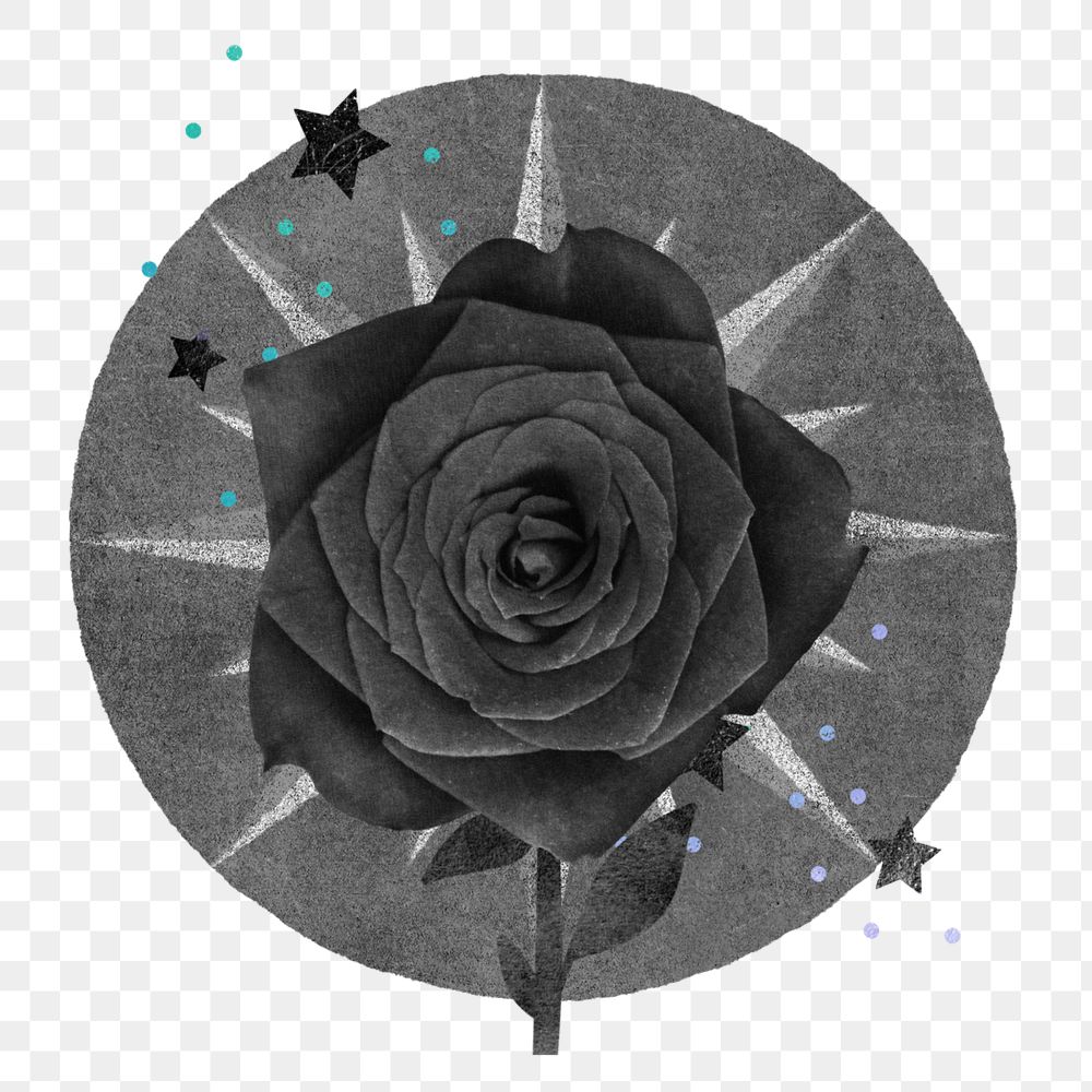 Ephemera black rose element png, editable aesthetic design