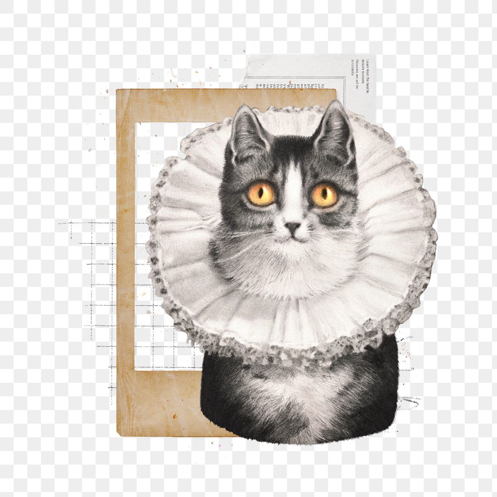 Vintage cat png, animal collage art, editable design