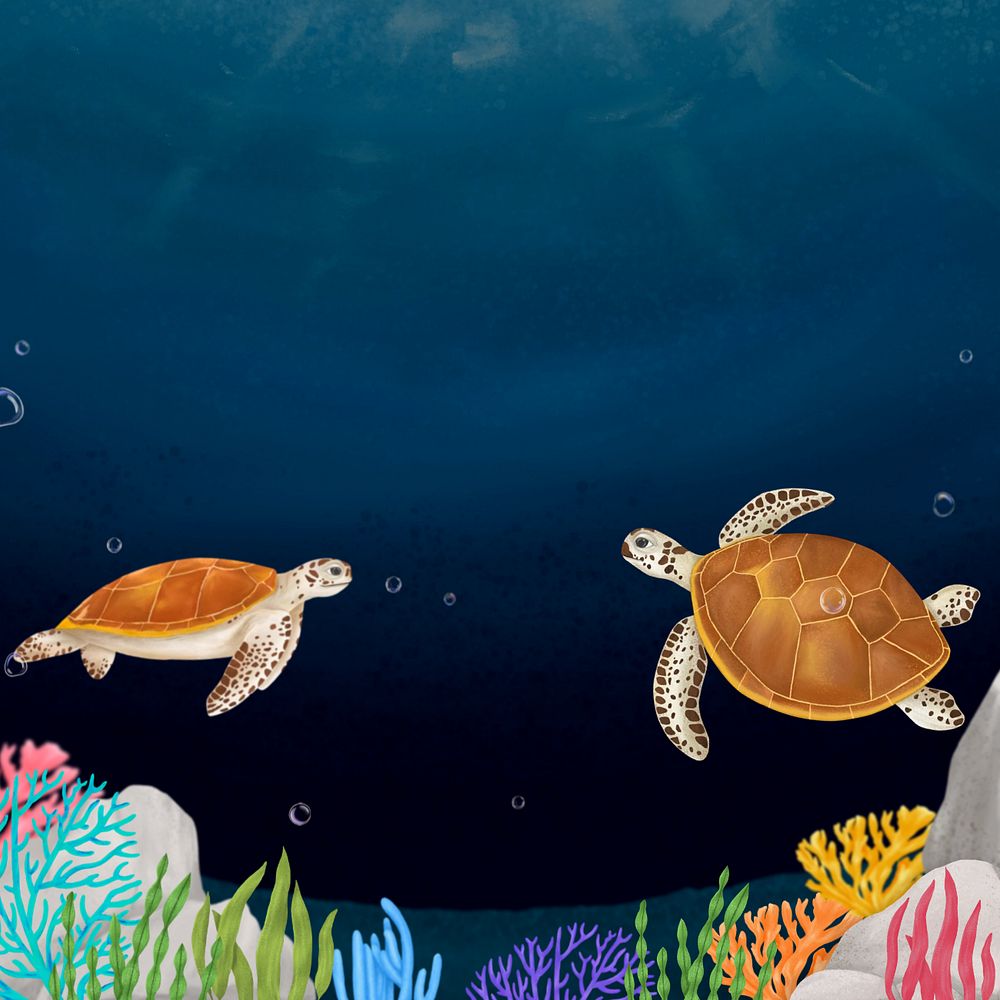 Sea turtle, dark background, editable illustration border