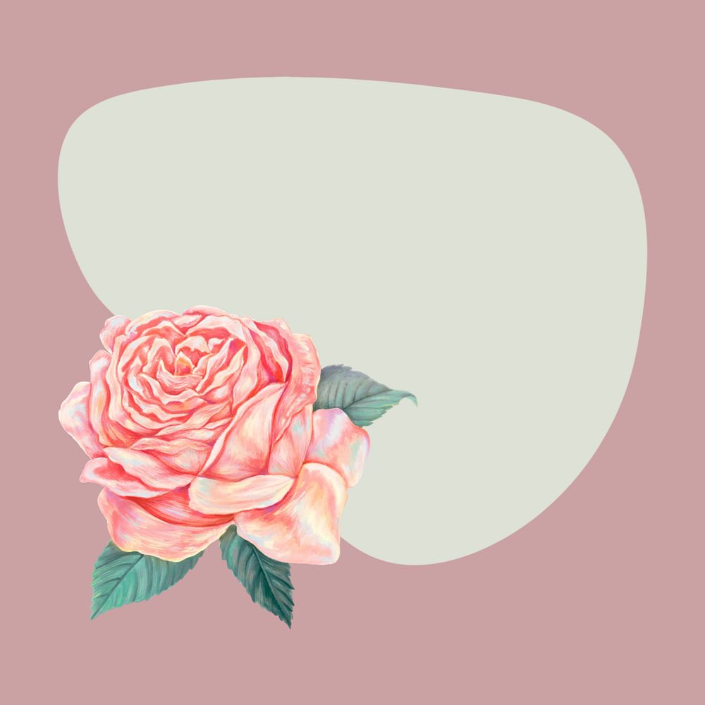 Pink rose frame background, editable design