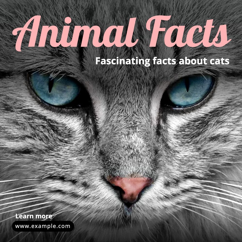 Animal facts Instagram post template, editable text