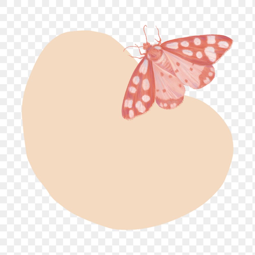 Aesthetic butterfly png badge sticker, editable design