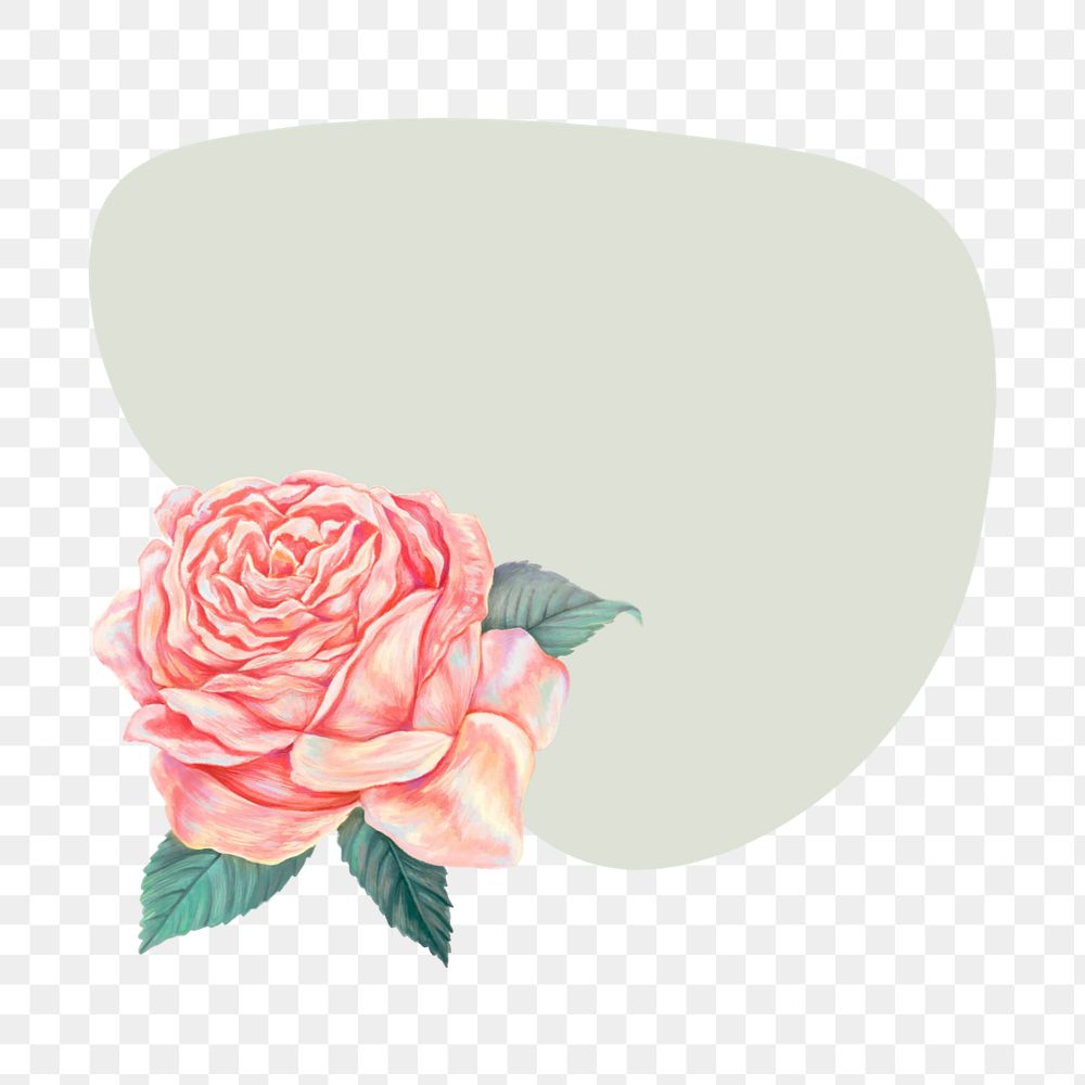 Pink rose png badge sticker, editable design