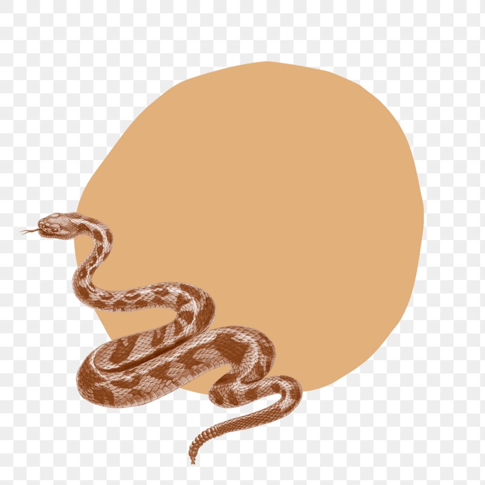 Tropical snake png badge sticker, editable design