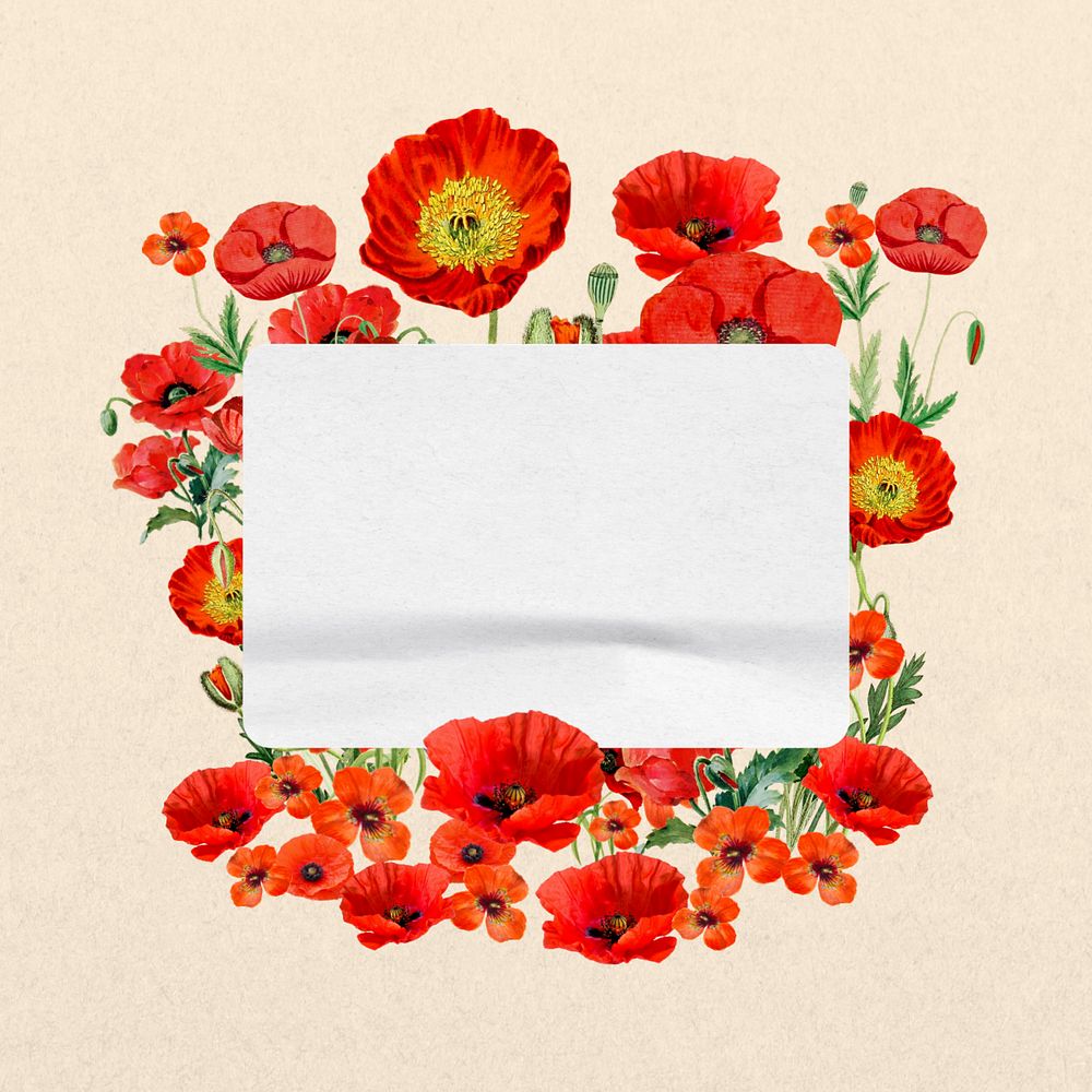 Note paper, poppy flowers collage, editable design