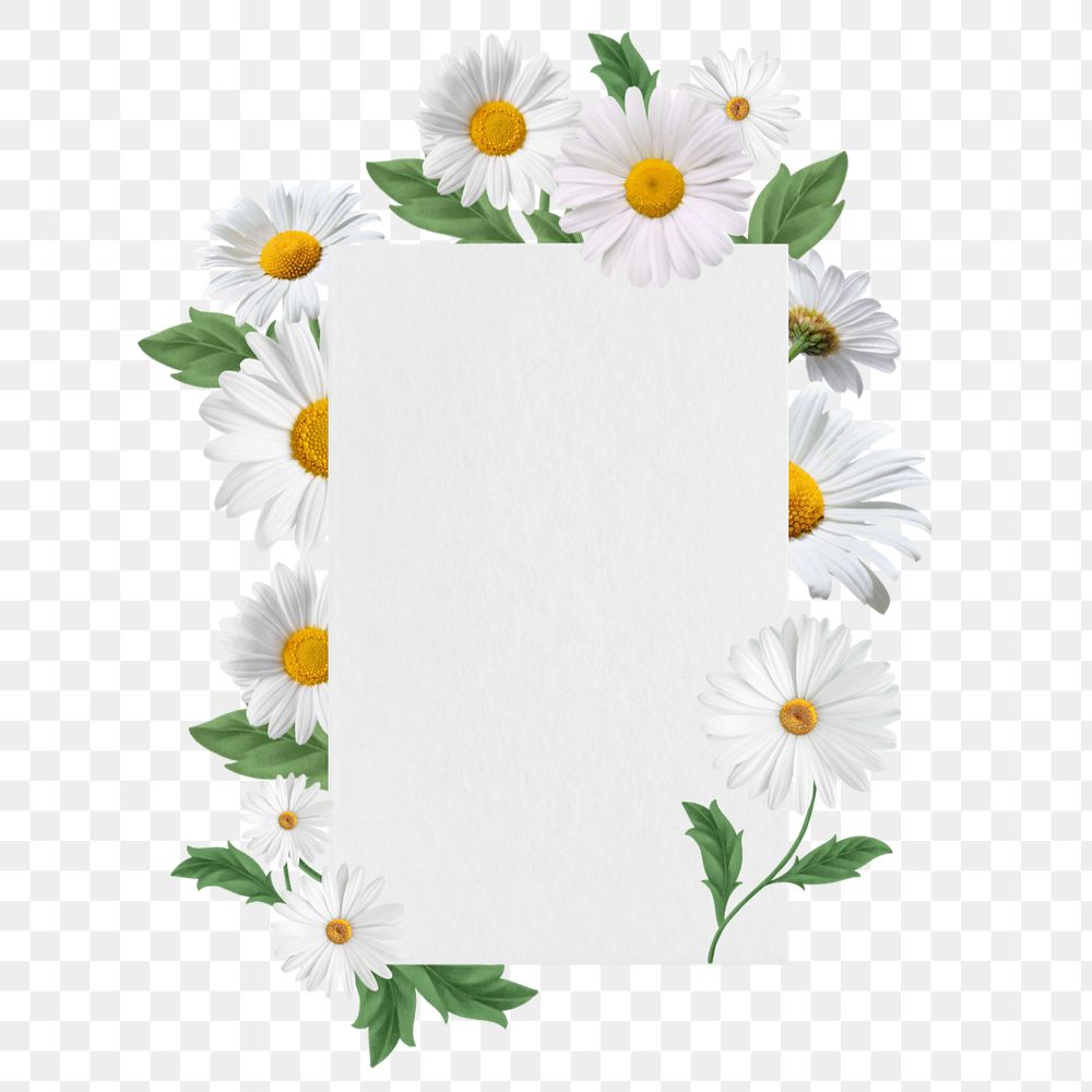 White daisy flower png frame, aesthetic botanical collage, editable design