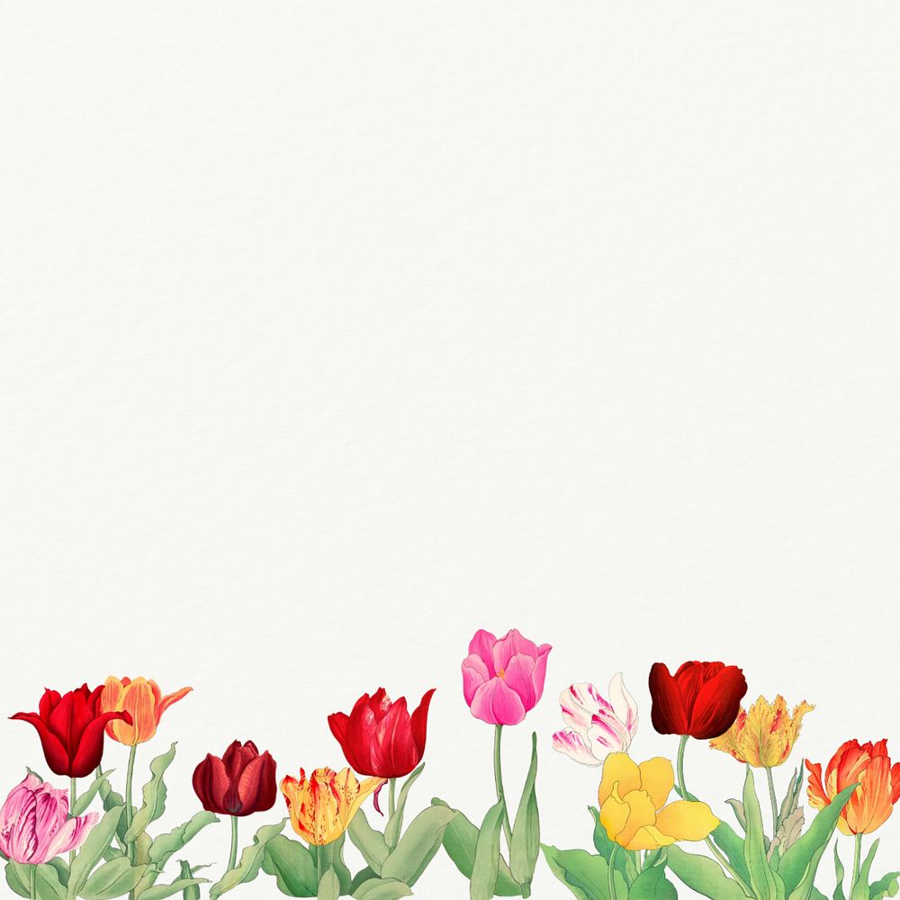 Floral white border background.  Remixed by rawpixel.