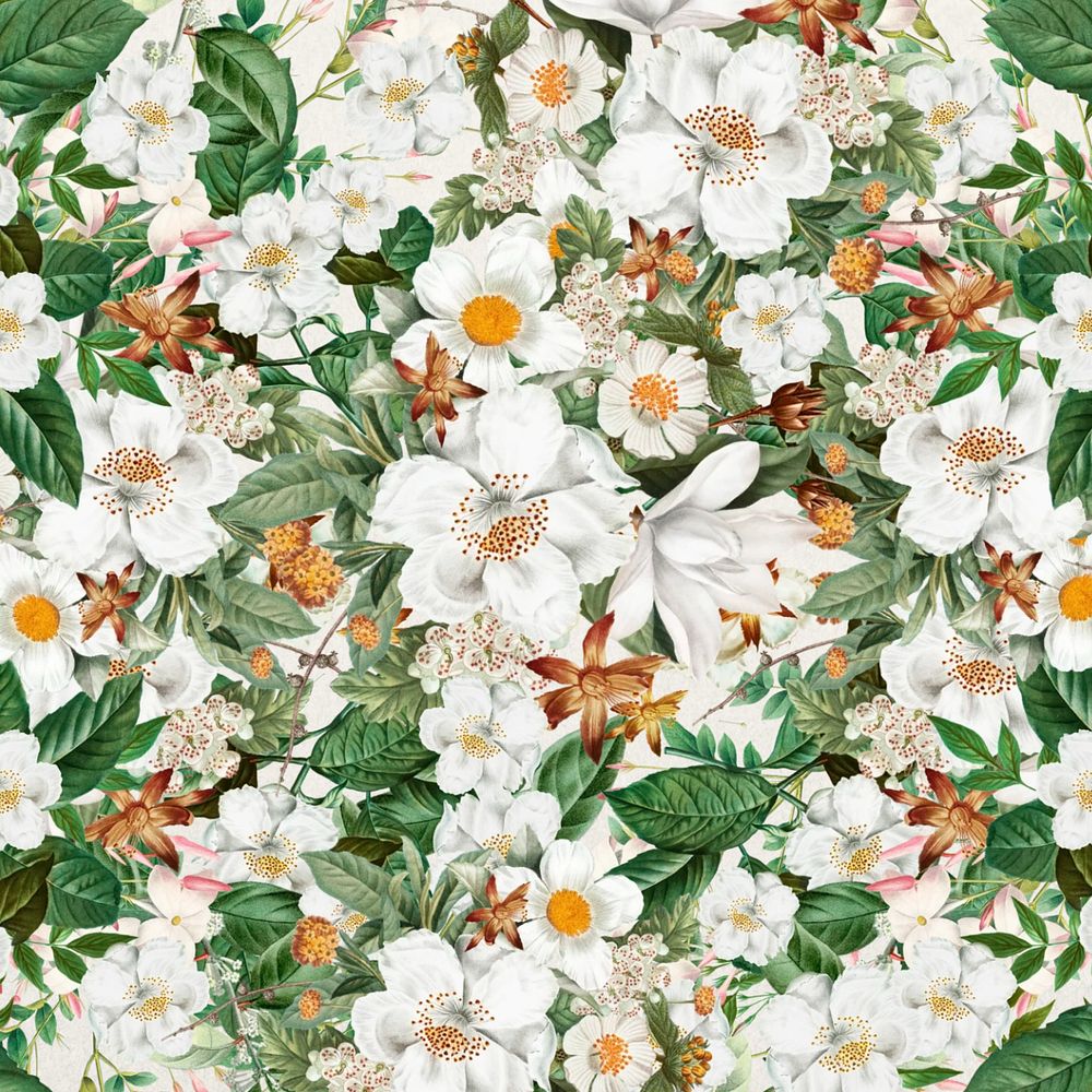 White floral pattern background, Spring flower illustration, editable design