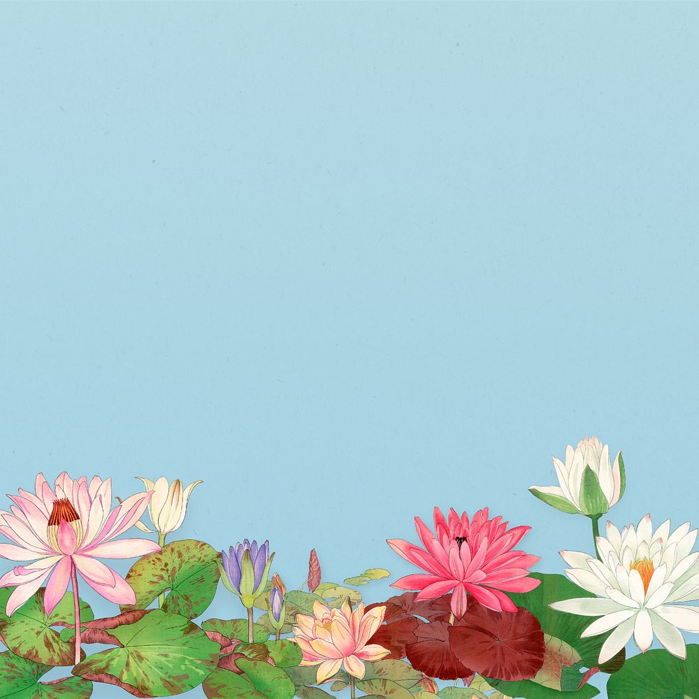 Floral illustration border background.  Remixed by rawpixel.