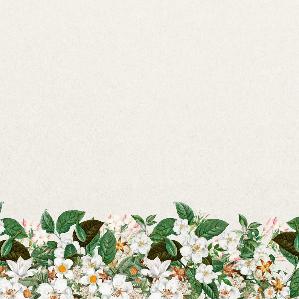 Jasmine flower border background, beige textured design, editable design