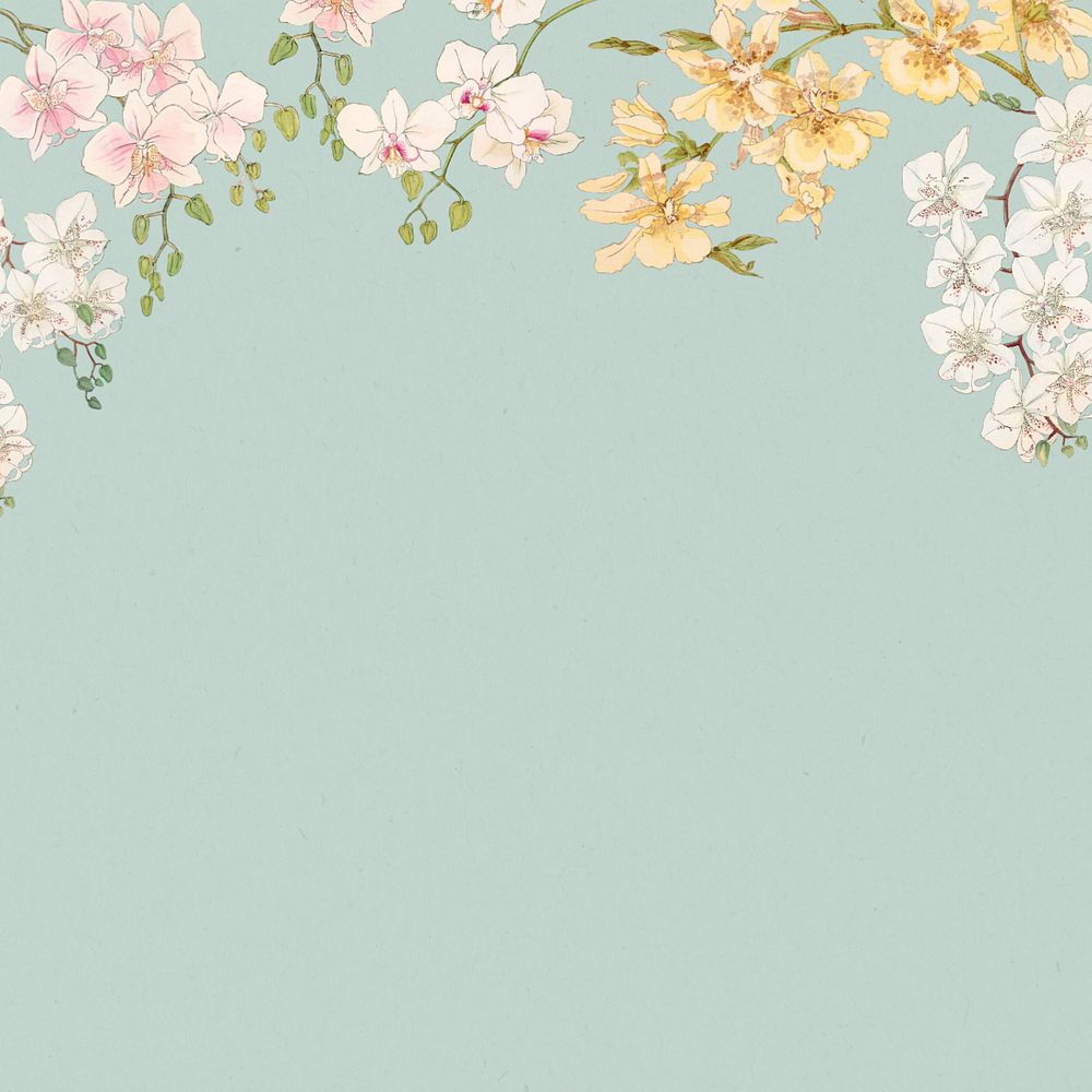 Floral illustration border background.  Remixed by rawpixel.