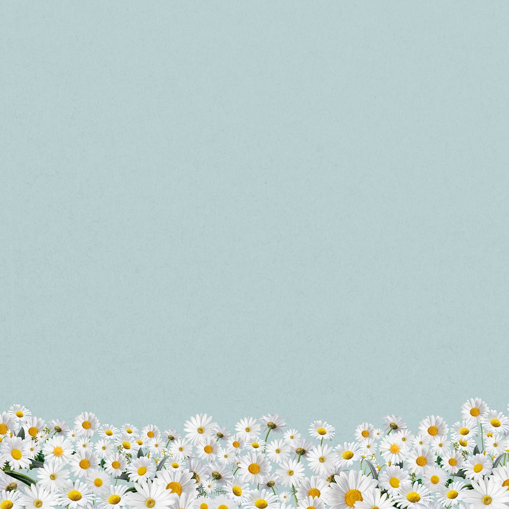 Daisy flower border background, pastel blue, editable design