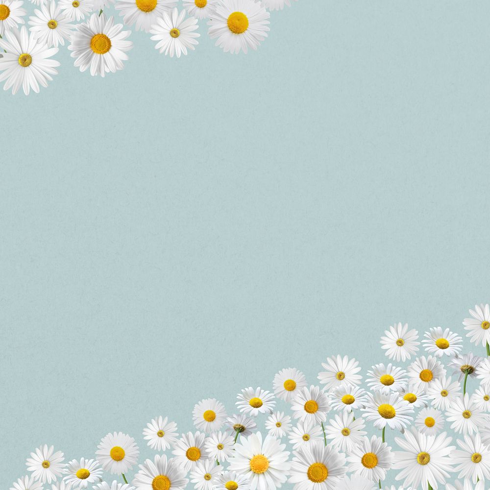 Daisy flower border background, pastel blue, editable design