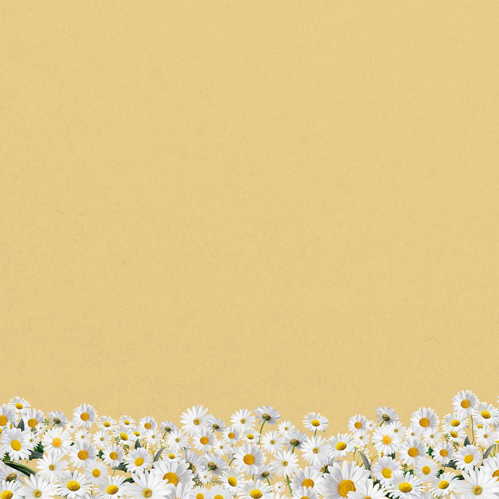 Daisy flower border background, pastel yellow, editable design