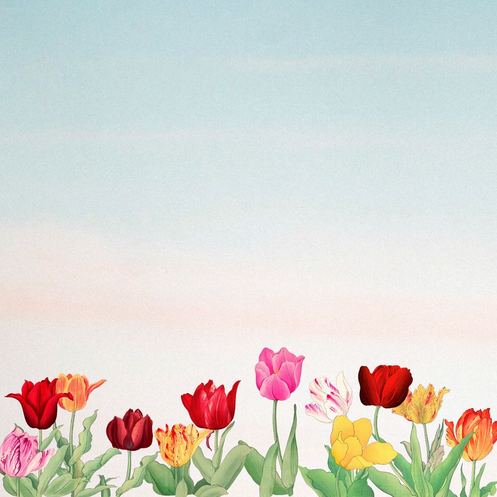 Vibrant flower illustration border background.  Remixed by rawpixel.