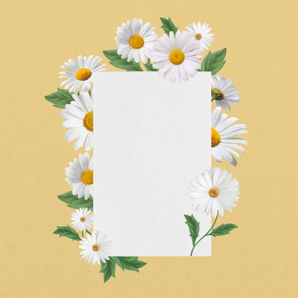 White daisy flower frame, aesthetic botanical collage, editable design