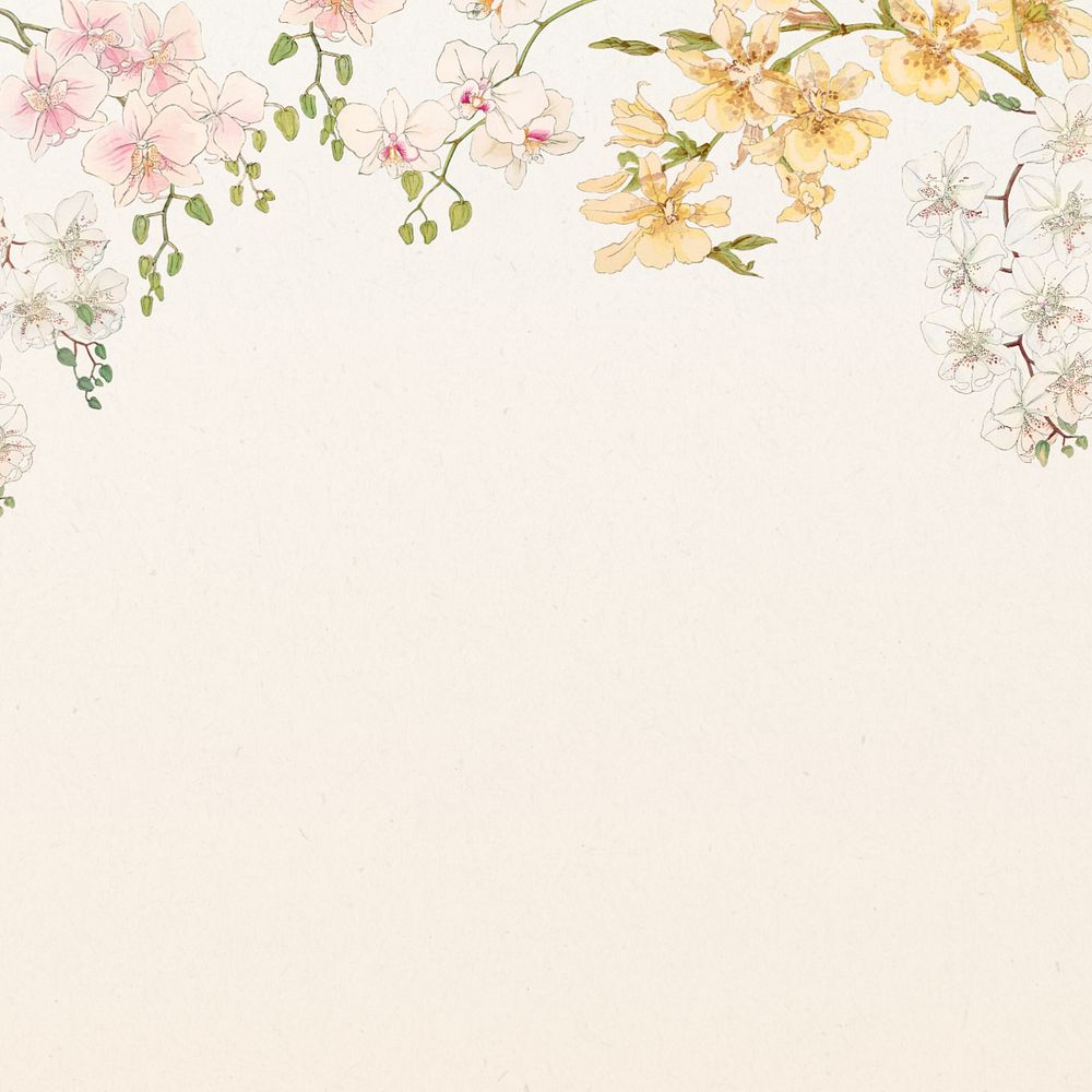 Floral illustration border background.  Remixed by rawpixel.