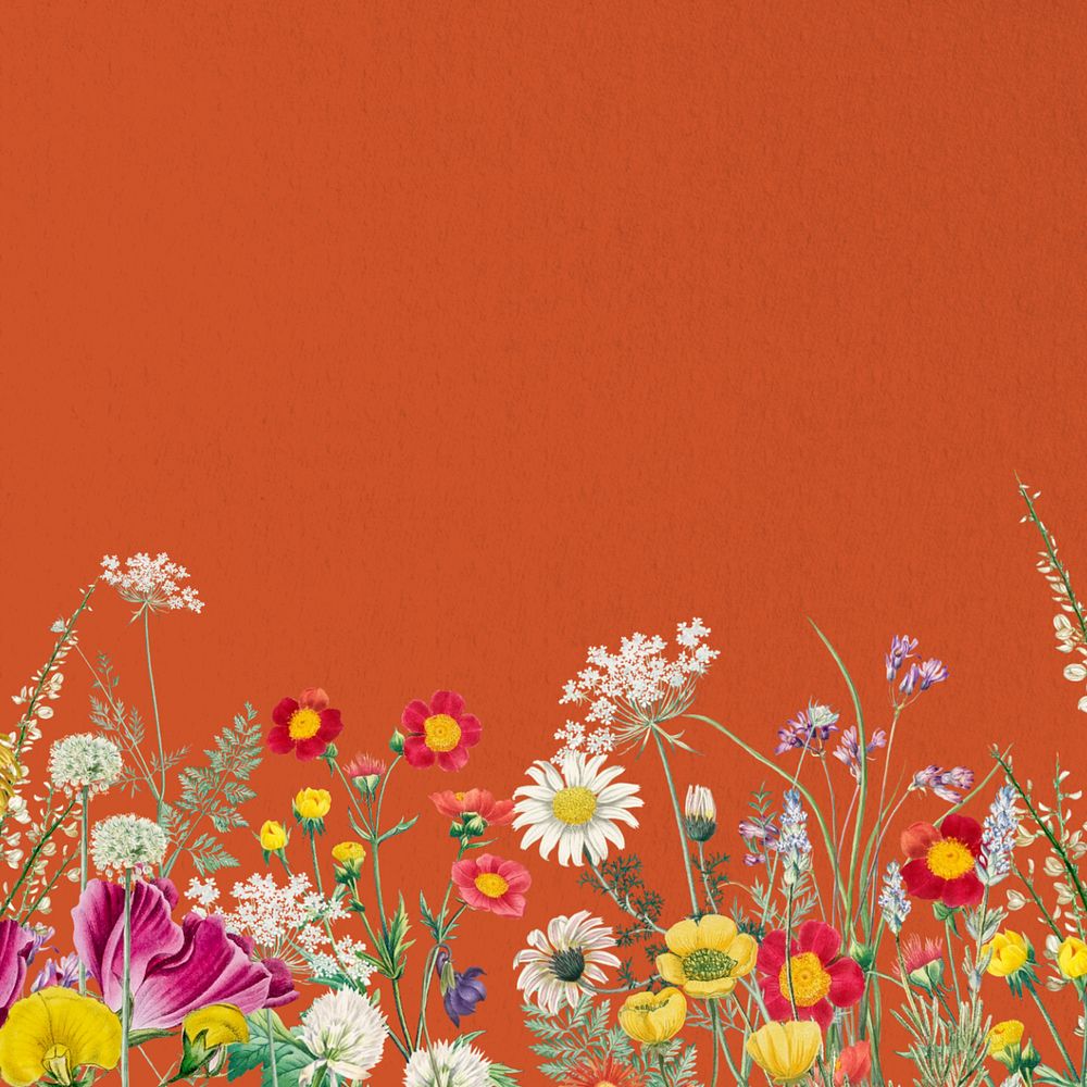 Spring wildflower border background, colorful botanical illustration, editable design