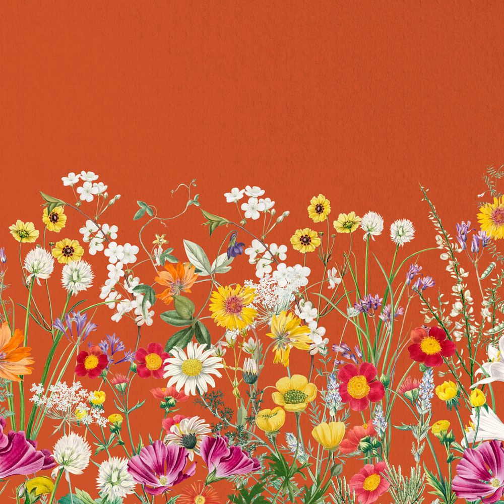 Spring wildflower border background, colorful botanical illustration, editable design