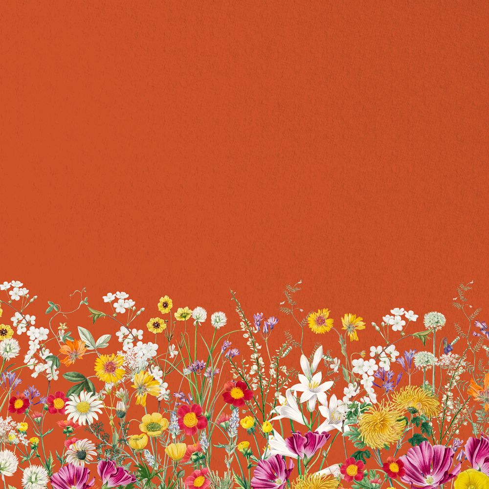 Spring wildflower border background, colorful botanical illustration, editable design