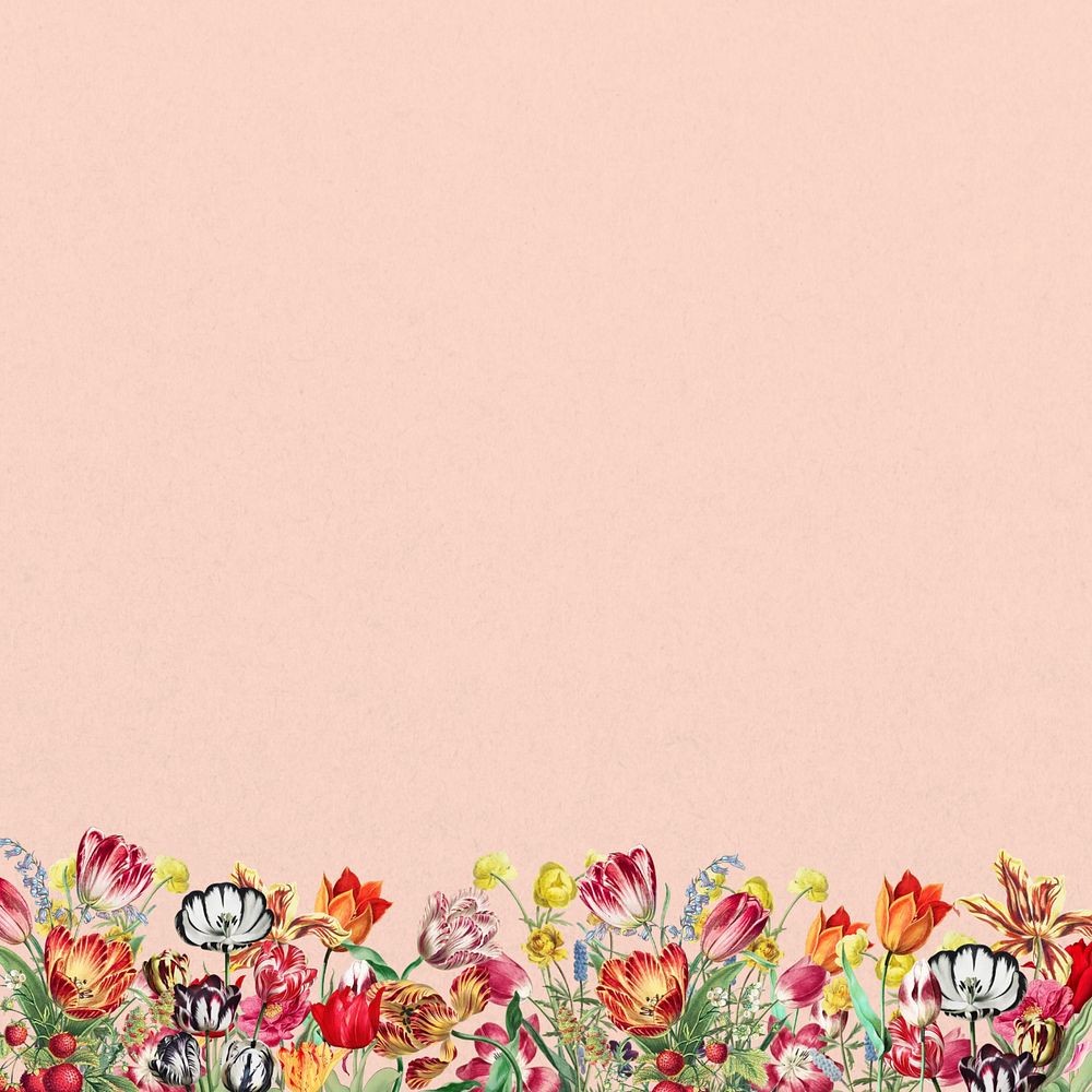 Pink exotic flowers background, colorful botanical border, editable design