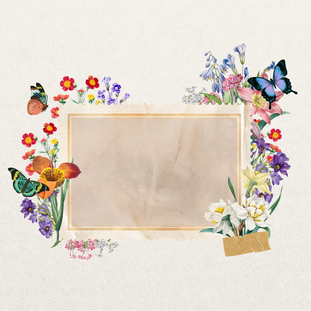 Aesthetic flower frame, butterfly botanical collage, editable design