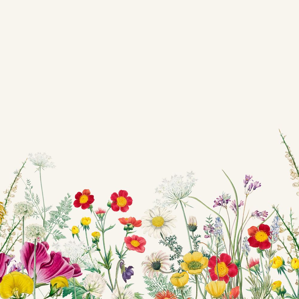 Spring wildflower border background, colorful botanical illustration, editable design