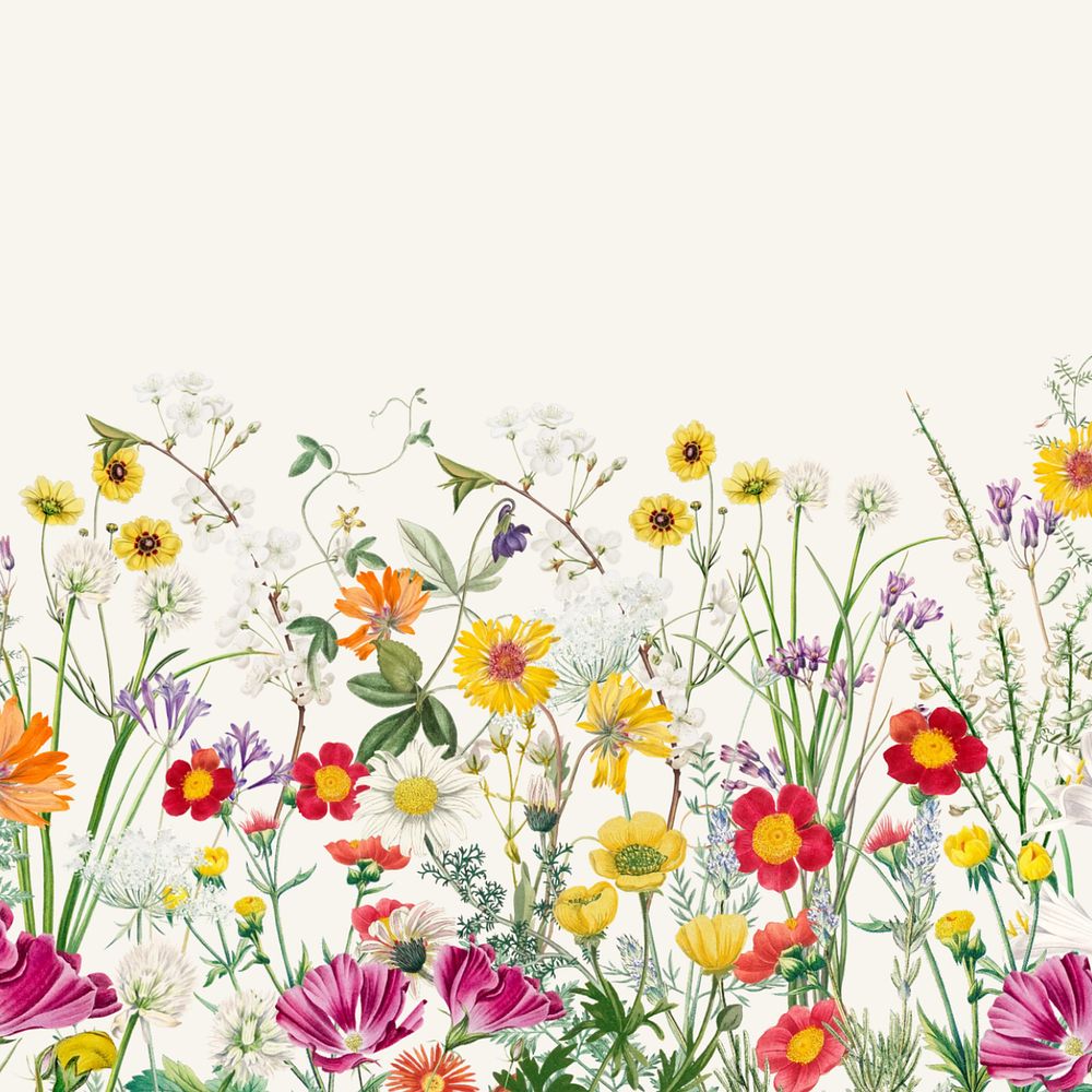 Spring wildflower border background, colorful botanical illustration, editable design