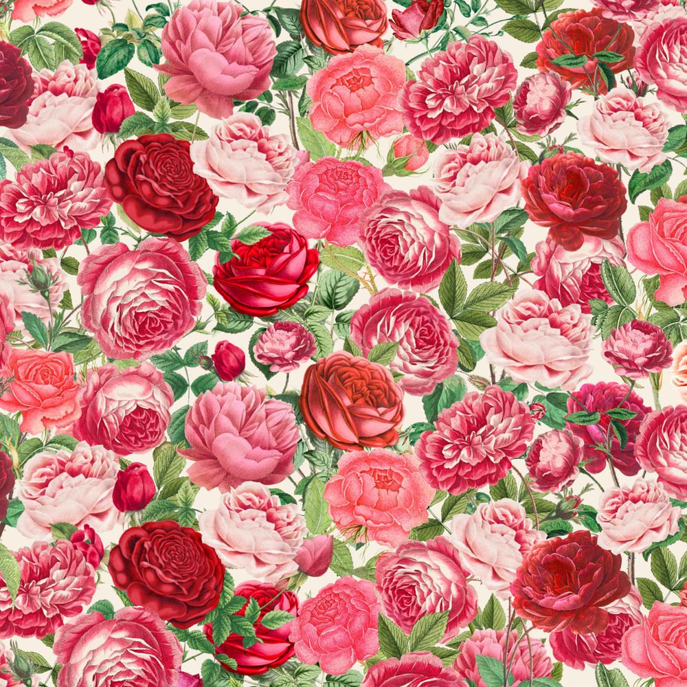 Pink rose pattern background, Valentine's flower illustration, editable design